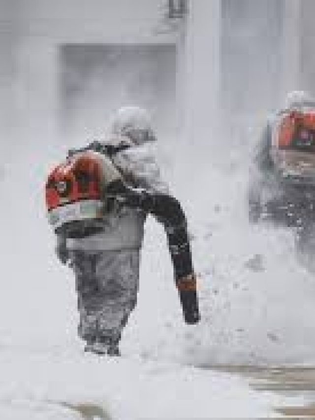 Florida’s Unlikely Snowstorm: A Winter’s Embrace