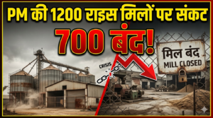 PM में नुकसान की भरपाई न होने से 1200 राइस मिलों पर संकट, 700 मिलें बंद